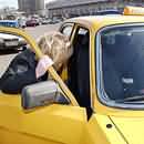 Таксистам-частникам теперь придется страховать своих пассажиров