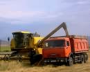 Сельскохозяйственное производство на Днепропетровщине продолжает сокращаться