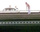 В Кривом Роге женщина погибла, прыгнув с моста